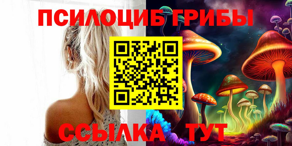 Галлюциногенные грибы ЛСД  Вход с VPN  Новошахтинск 