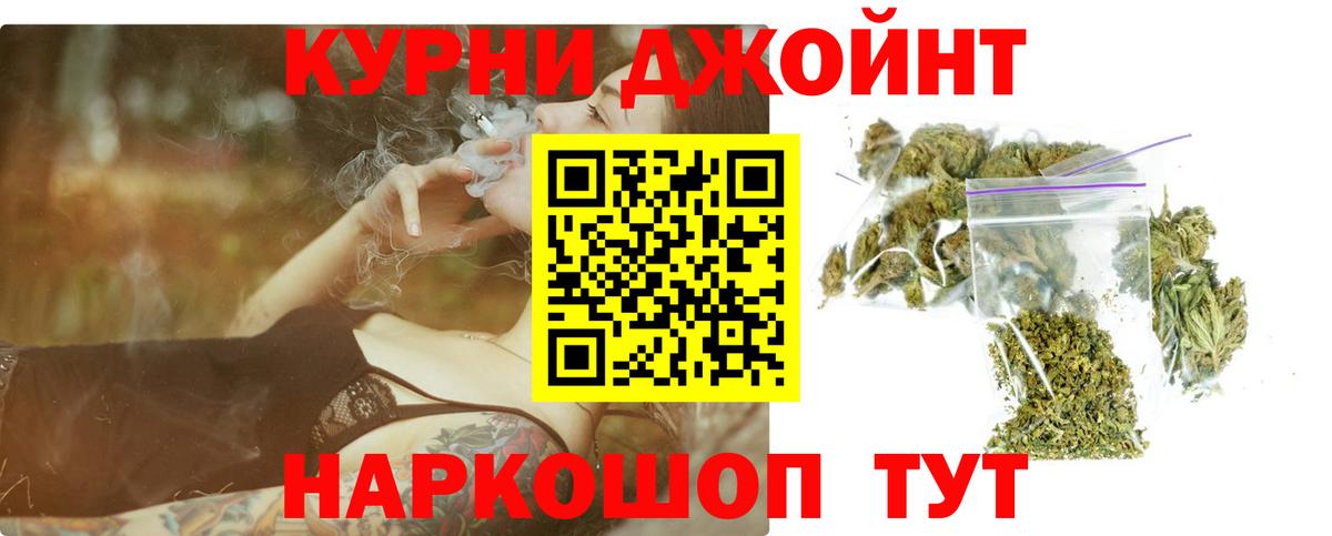 Конопля OG Kush Новошахтинск